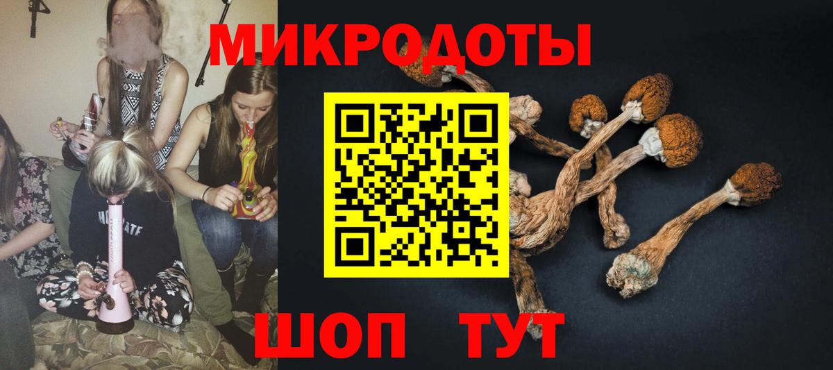 Реж  Галлюциногенные грибы Cubensis  Вход с VPN 